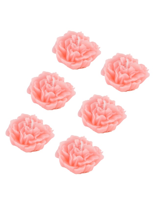 6 ROSA GARDENIA KERZEN 5.6CM X 5.2CM X 2.8CM