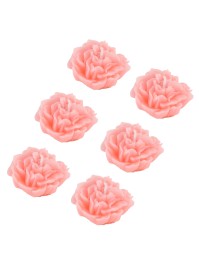 6 ROSA GARDENIA KERZEN 5.6CM X 5.2CM X 2.8CM