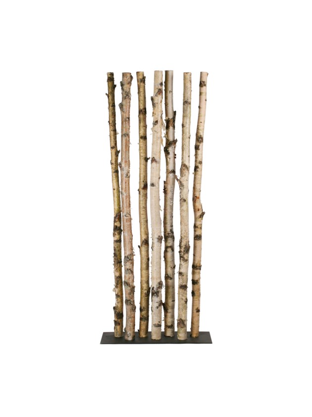 7 TRONCS BOULEAU SUR SUPPORT METAL  DIA 5-8CM X 175CM - SUPPORT 25CM X 75CM
