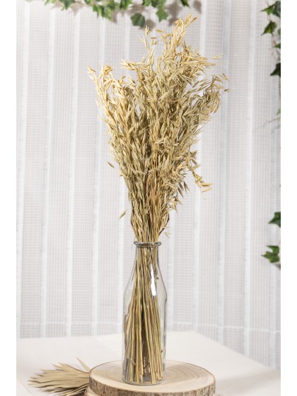 BOUQUET AVOINE NATUREL 100G 70CM