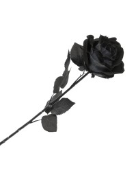 HALLOWEEN BLACK ROSE STEM 65CM