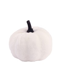 KÜRBIS SAMT WEISS SUMMERWEEN DIA 7CM X 4/7CM HT