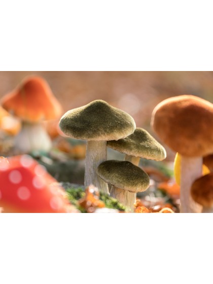 3 FOREST GREEN MUSHROOMS ON MOSS BASE 12CM X 14CM X 17CM