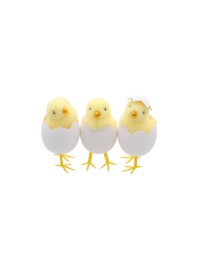 YELLOW CHICK IN WHITE EGG SHELL - 3 ASS DIA 5CM X 9CM
