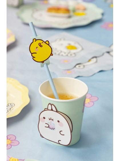 8 PAILLES PAPIER + MEDAILLONS MOLANG © 19.6CM / DIA 4.2CM X 6.3CM
