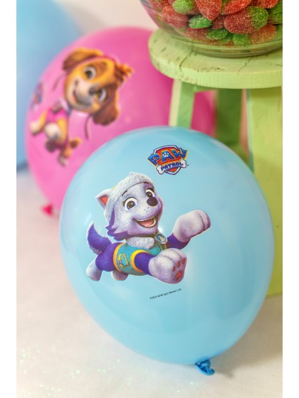 6 LATEX BALLONS 2 SORTIERT ROSA PAW PATROL © DIA 27CM