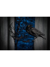 RABE SCHWARZ KUNSTHARZ AUF STÄNDER 15CM X 21CM X 44CM