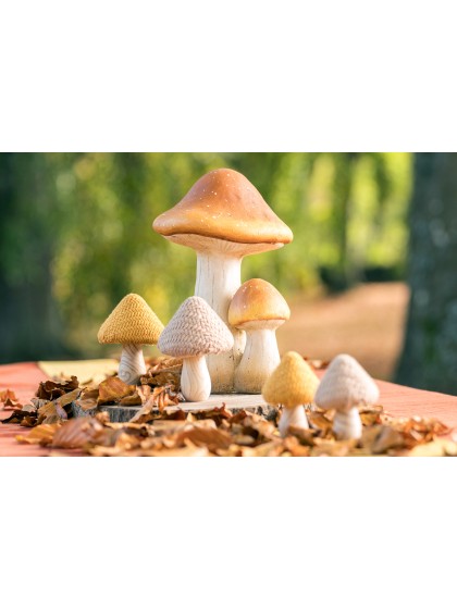 2 CHAMPIGNONS BRUNS MAGNESIE 21CM X 19CM X 30CM