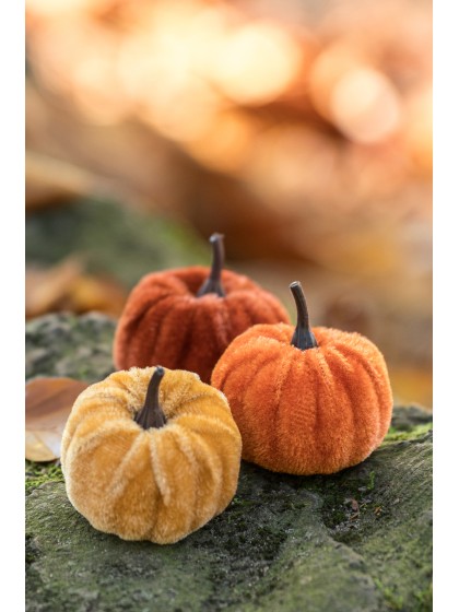 9 VELVET PUMPKINS IN NET - 3 COL ASS DIA 5CM X 6CM HT