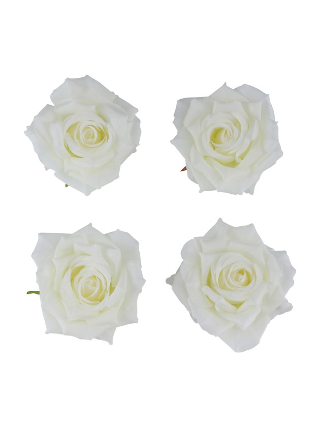 4 TETES DE ROSE IVOIRE DIA 9.5CM X 5.5CM