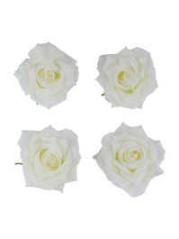 4 TETES DE ROSE IVOIRE DIA 9.5CM X 5.5CM