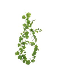 GIRLANDE BLÄTTER AUS VIGNE 180CM