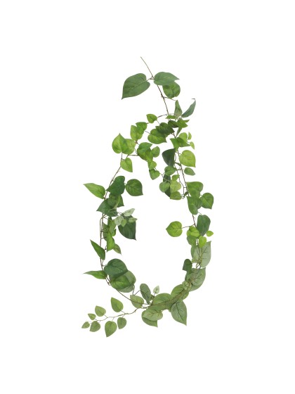 GIRLANDE BLÄTTER POTHOS 180CM