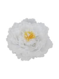 TETE DE PIVOINE TULLE BLANC DIA 28CM X 10CM