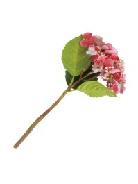 TIGE HORTENSIA BOURGEONS ROSE 35CM