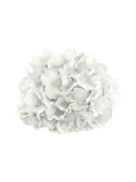 KOPF HORTENSIE WEISS DIA 20CM X 11CM