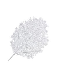 TISCHSET PVC BLATT SILBER 57CM X 36CM X 0.1CM