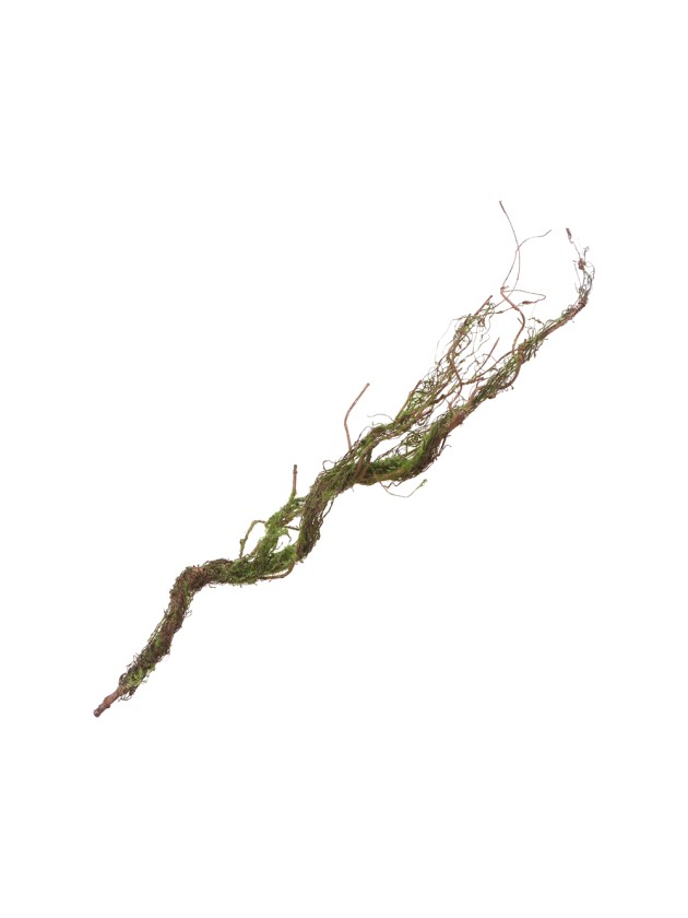 BRANCH WITH MOSS 75CM