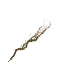 BRANCH WITH MOSS 75CM