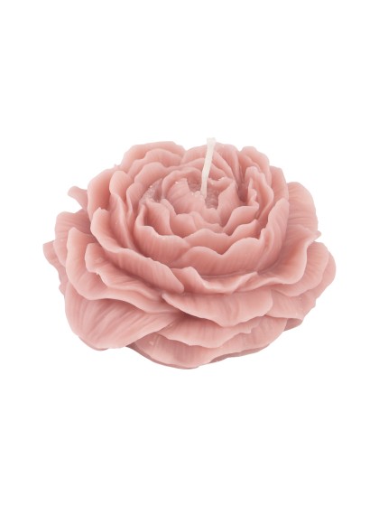 KERZE KAMELIE ROSA SEEROSE DIA 10.3CM X 4.2CM