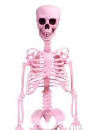 PINK ARTICULATED SKELETON 1M