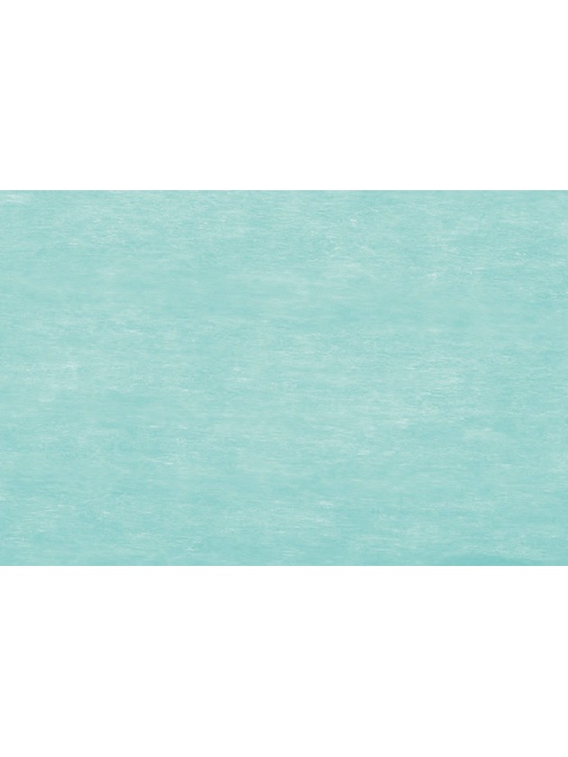 BAND ELEGANCE GRÜN PASTELL 10CM X 20M
