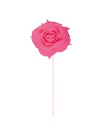 SET 2 ROSA FUCHSIA AUF STIEL DIA 10CM