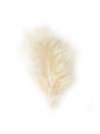 5 IVORY FEATHERS  10-15CM