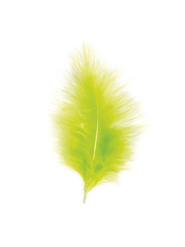 5 PLUMES VERT LIME 10-15CM