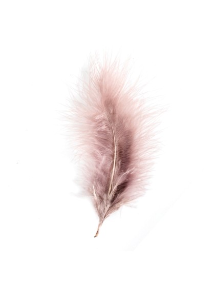 5 TAUPE FEATHERS 10-15CM