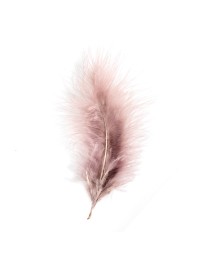 5 TAUPE FEATHERS 10-15CM