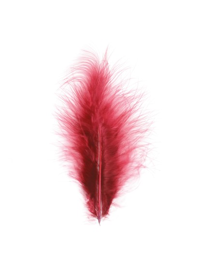 5 PLUMES BORDEAUX 10-15CM