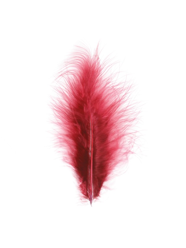5 PLUMES BORDEAUX 10-15CM