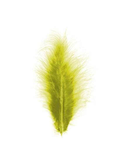 5 PLUMES VERT KIWI 10-15CM