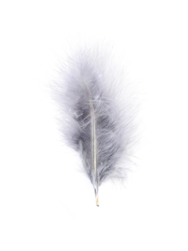 5 GREY FEATHERS 10-15CM