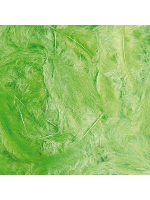 LIME GREEN FEATHER BOX 100G