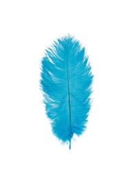 BAG OF 5 TURQUOISE OSTRICH FEATHERS 20-25CM