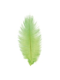 1 PLUME AUTRUCHE VERT LIME 55-60CM