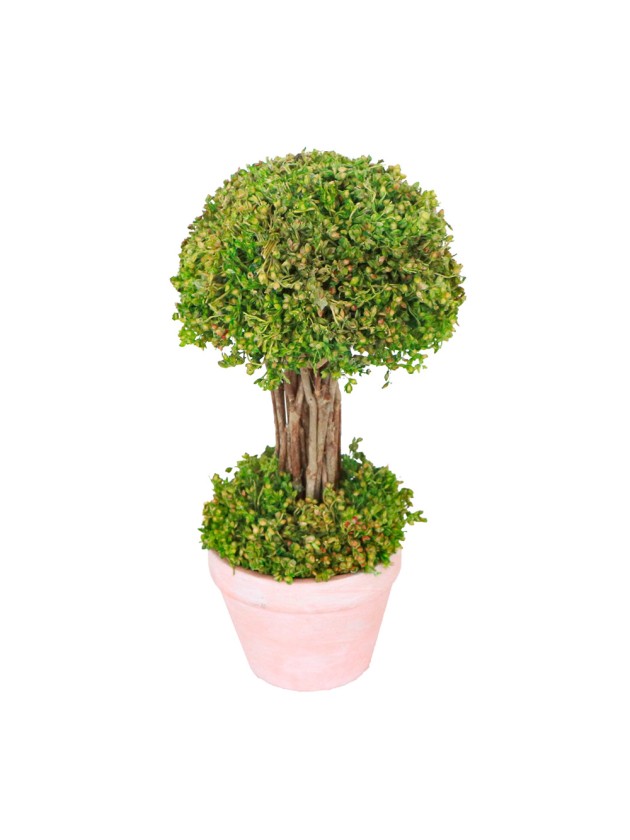 GREEN LITTLE TREE IN POT DIA 12CM X 21.5CM