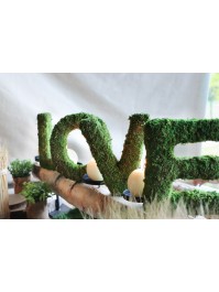 SET 4 MOSS LETTERS LOVE 20CM