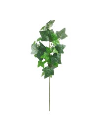 EFEUZWEIG 60CM