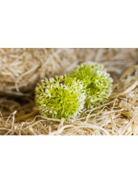 SET 6 GRASS BALLS DIA 8CM