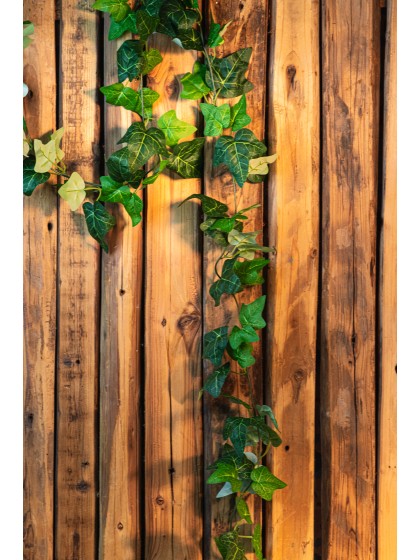 GUIRLANDE FEUILLES DE LIERRE 220CM