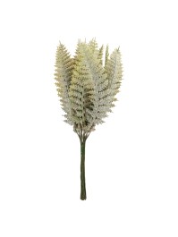SMALL BUNCH OF FOUGERE 18CM