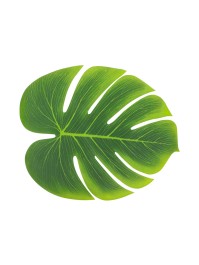 SET 3 TROPICAL LEAVES 29CM X 35CM