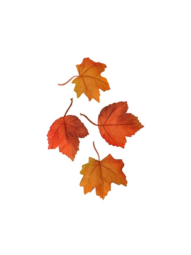 SACHET 12 FEUILLES AUTOMNE TISSU  ENV 11CM X 8CM