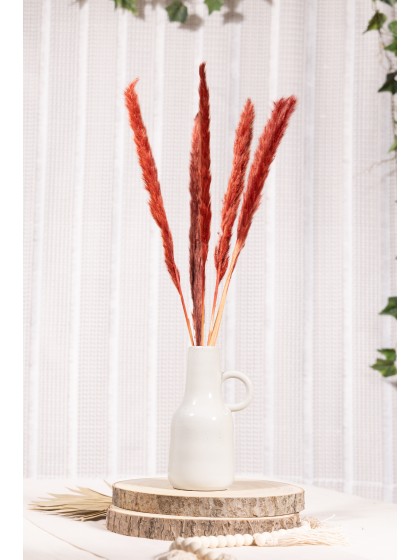BUNCH 6 BURGUNDY PAMPA FLOWERS 65-75CM