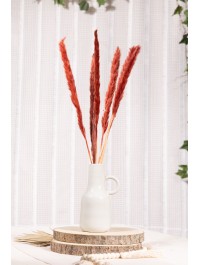 BUNCH 6 BURGUNDY PAMPA FLOWERS 65-75CM