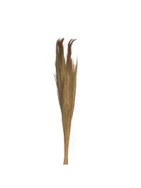 BUNCH OF NATURAL PAMPA GRASS 250GR 110CM