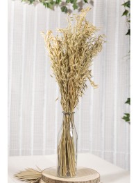 BLUMENSTRAUSS HAFER NATUR 100G 70CM
